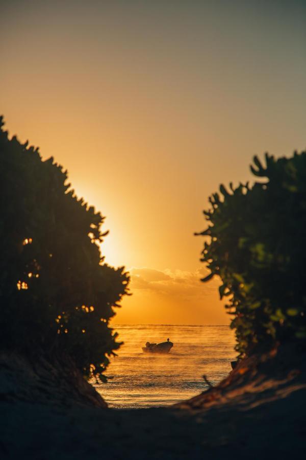Glamp Ikal Tulum Hotel Luaran gambar